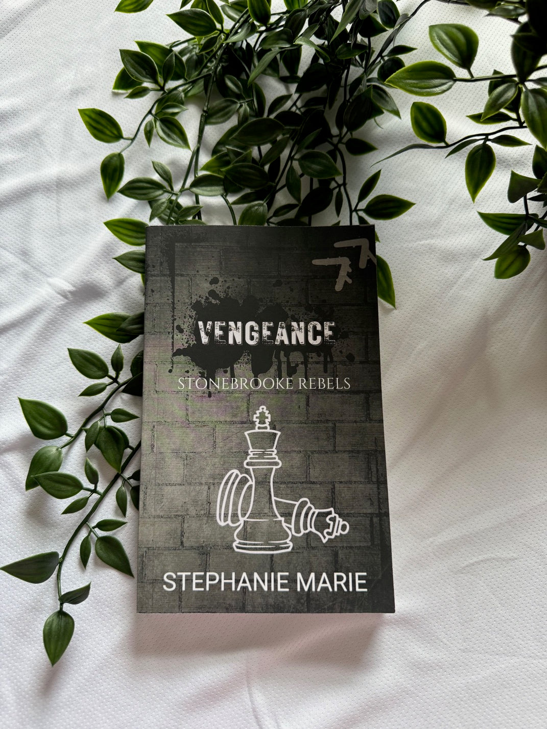 Vengeance: Stonebrooke Rebels 3 ( Special Edition Cover) A Dark, Why Choose, College Romance