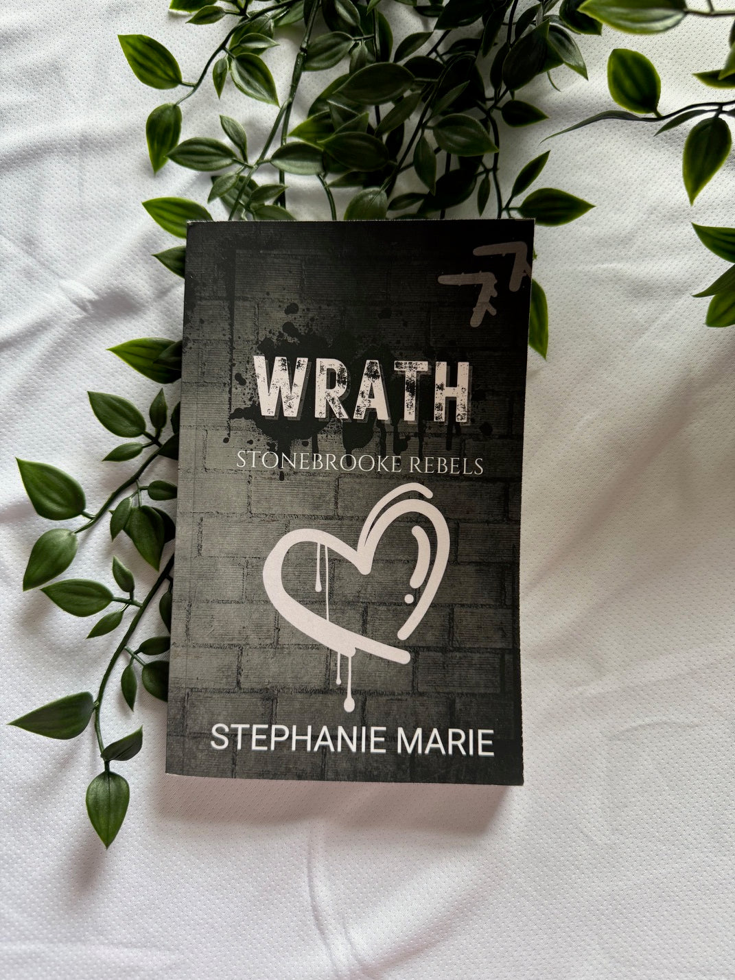 Wrath: Stonebrooke Rebels 2 (Special Edition Cover) A Dark, Why Choose, College Romance