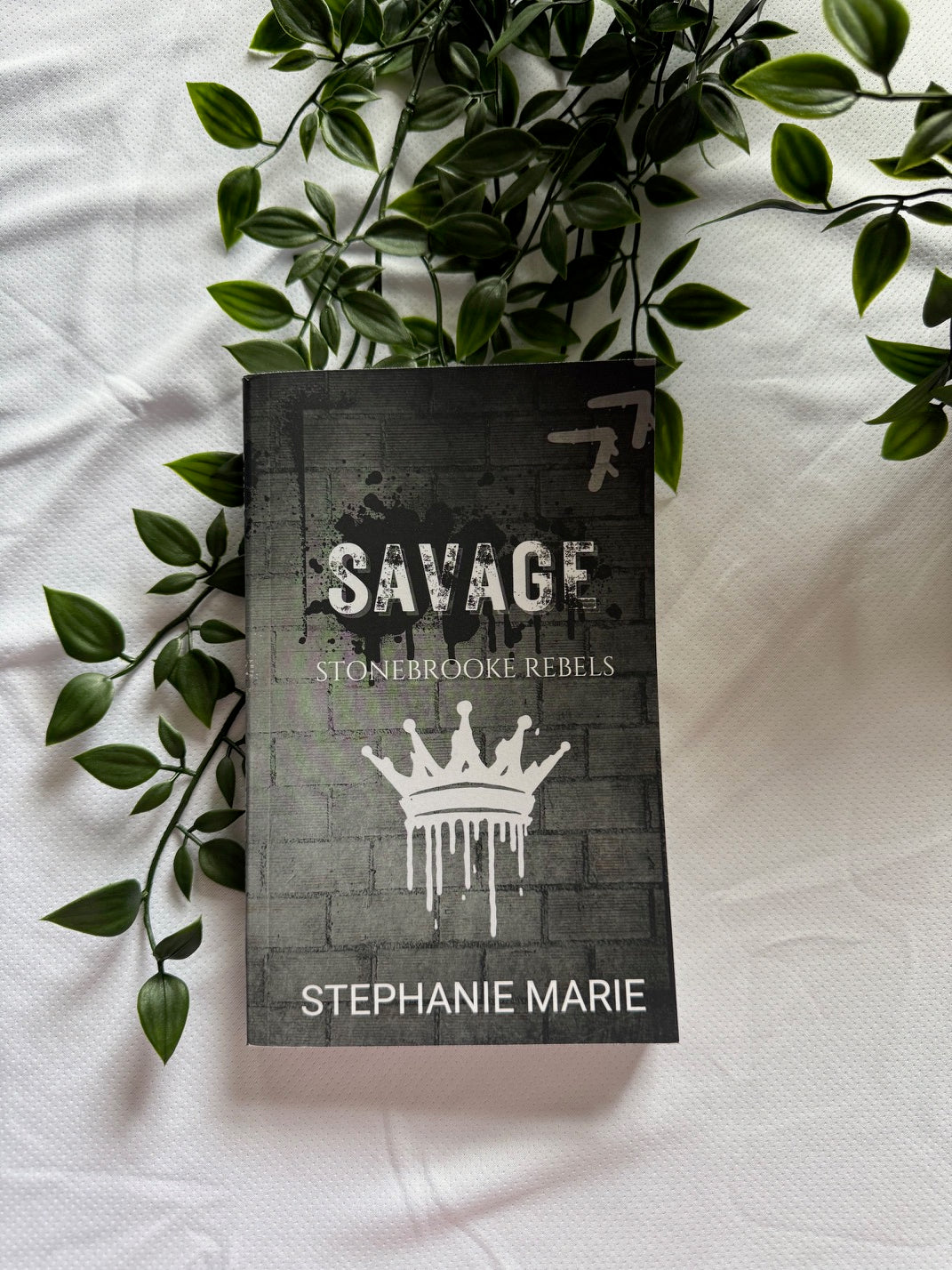 Savage: Stonebrooke Rebels 1 (Special Edition Cover) A dark, why choose, college romance